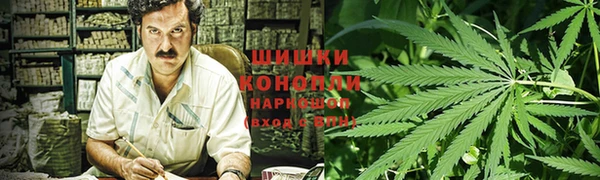 ПСИЛОЦИБИНОВЫЕ ГРИБЫ Абдулино