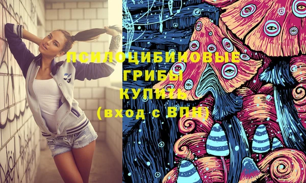 ПСИЛОЦИБИНОВЫЕ ГРИБЫ Абдулино