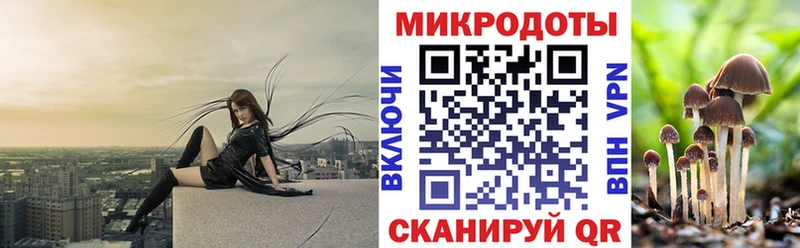 Галлюциногенные грибы прущие грибы что такое Мантурово